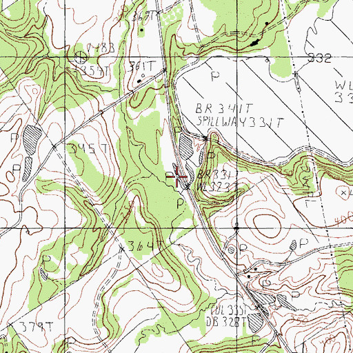 Topographic Map of Pickle Branch, TX