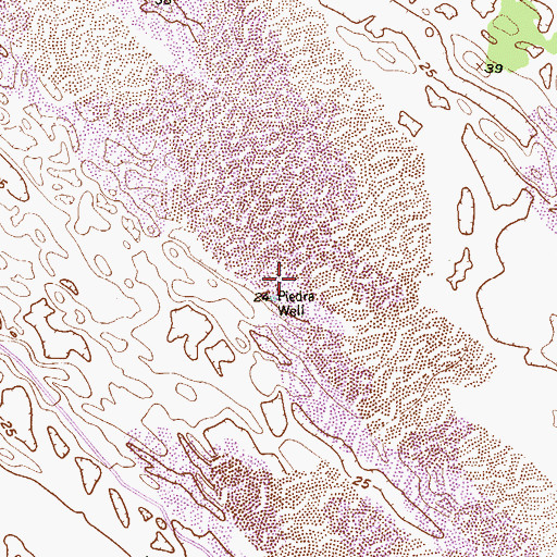 Topographic Map of Piedra Well, TX