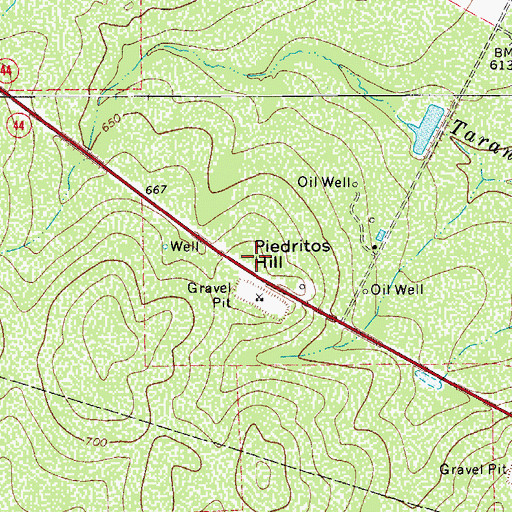 Topographic Map of Piedritos Hill, TX
