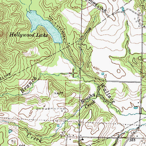 Topographic Map of Pierson Branch, TX