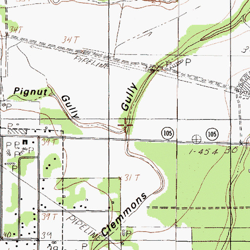 Topographic Map of Pignut Gully, TX