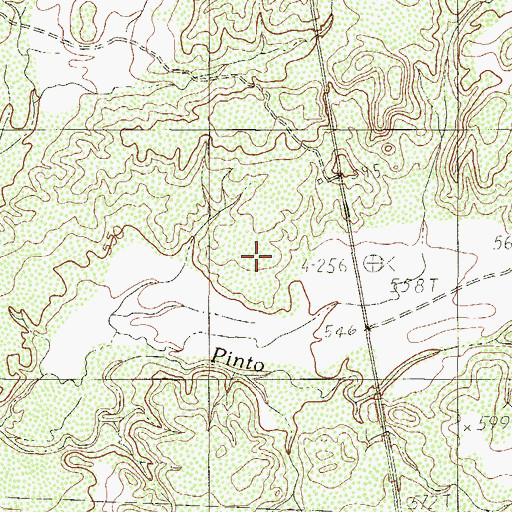 Topographic Map of Pilotes Ranch, TX