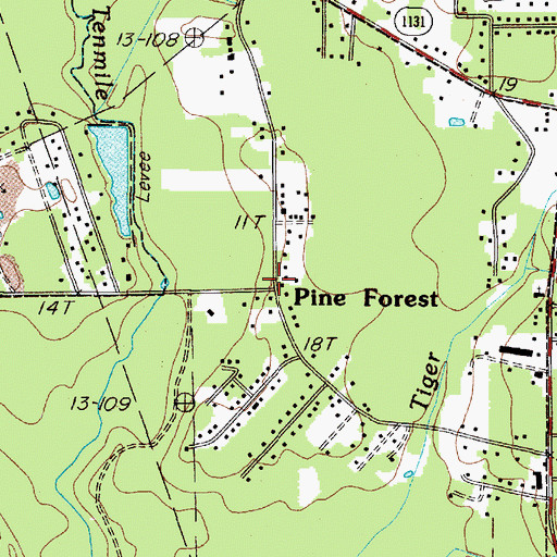 Topographic Map of Pine Forest, TX