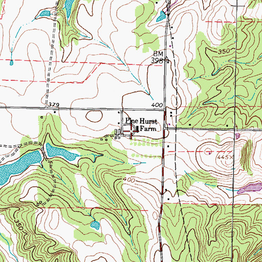Topographic Map of Pine Hurst Farm, TX