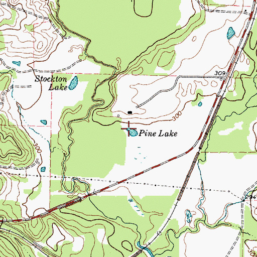 Topographic Map of Pine Lake, TX
