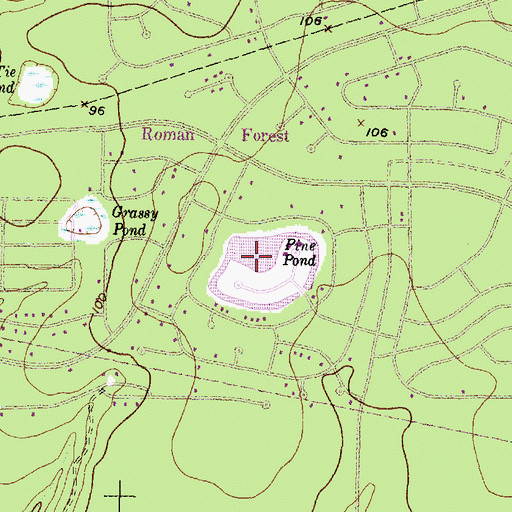 Topographic Map of Pine Pond, TX