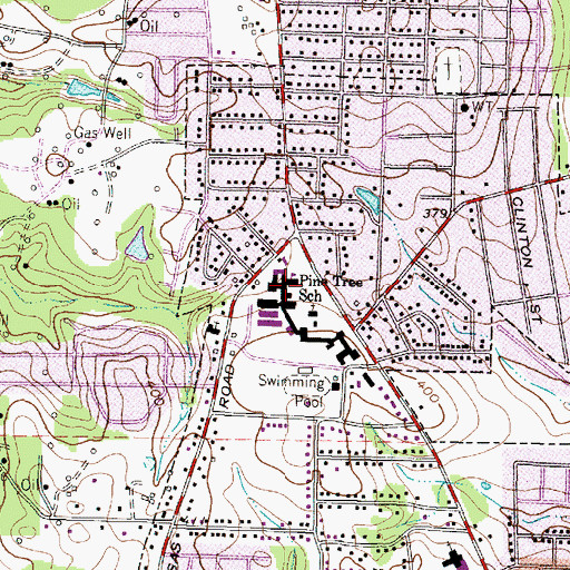 Topographic Map of Pine Tree School, TX