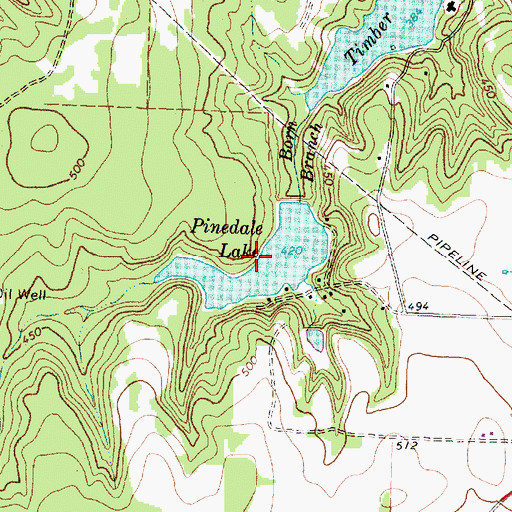 Topographic Map of Pinedale Lake, TX