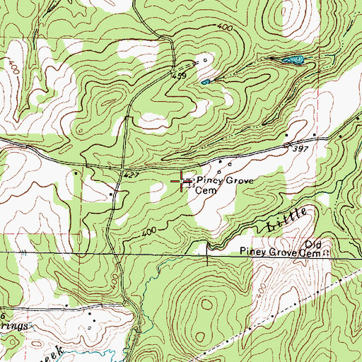 Topographic Map of Piney Grove Cemetery, TX