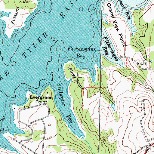 Topographic Map of Piney Point, TX