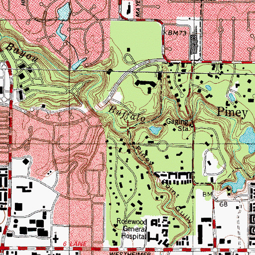 Topographic Map of Piney Point Gully, TX