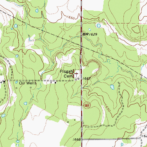 Topographic Map of Pisgah Cemetery, TX