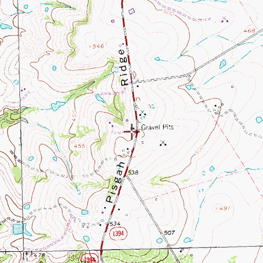 Topographic Map of Pisgah Ridge, TX