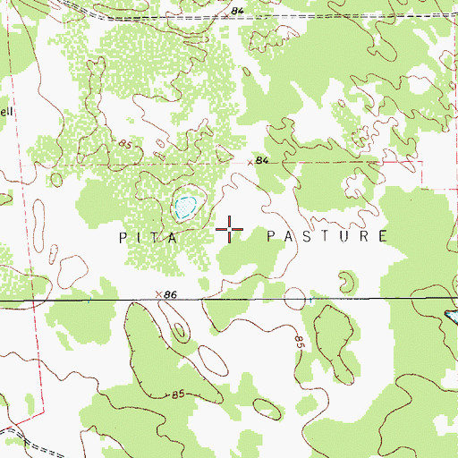 Topographic Map of Pita Pasture, TX