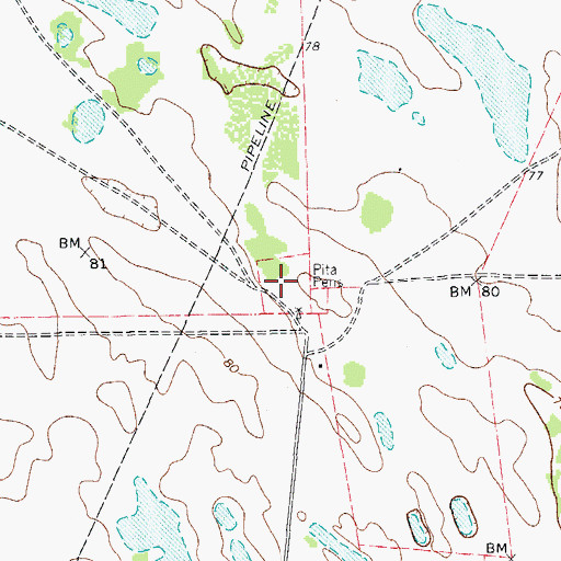 Topographic Map of Pita Pens, TX