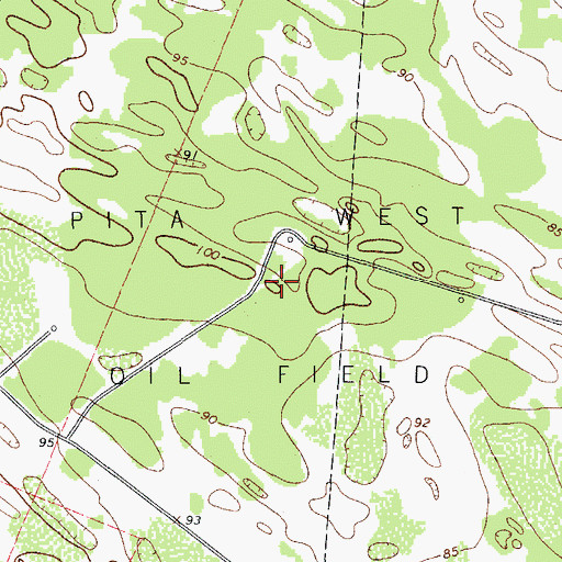 Topographic Map of Pita West Oil Field, TX