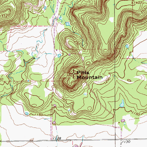 Topographic Map of Pitts Mountain, TX