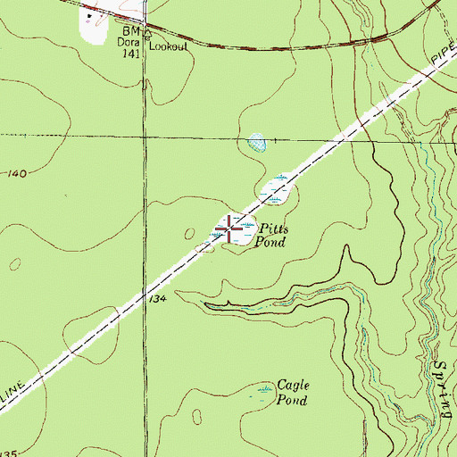 Topographic Map of Pitts Pond, TX