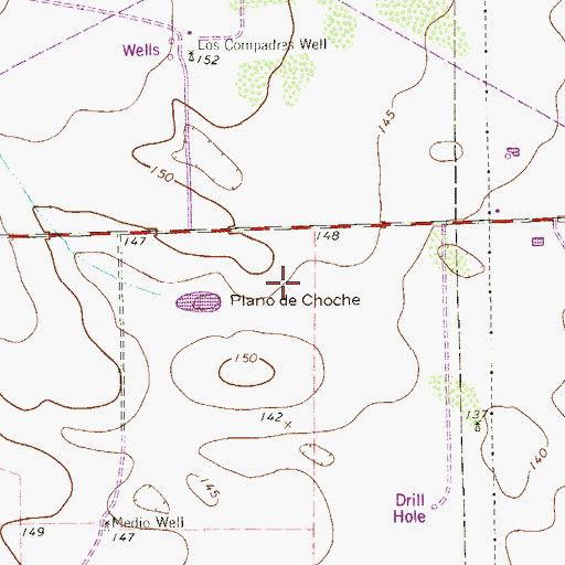 Topographic Map of Plano de Choche, TX