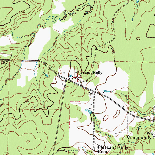 Topographic Map of Pleasant Holly Church, TX