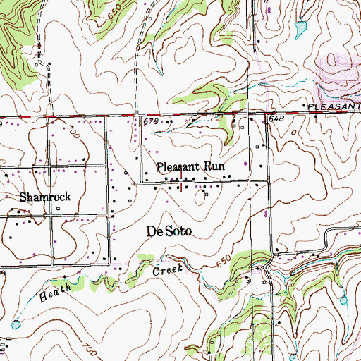 Topographic Map of Pleasant Run, TX