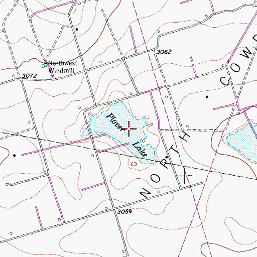 Topographic Map of Plover Lake, TX