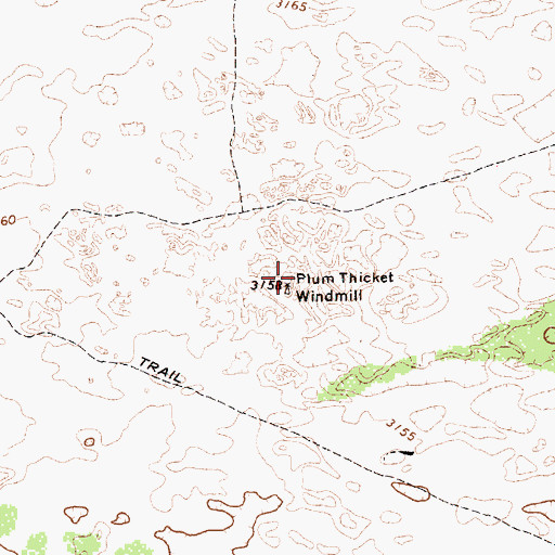 Topographic Map of Plum Thicket Windmill, TX