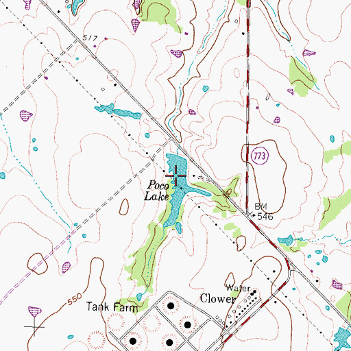 Topographic Map of Poco Lake, TX