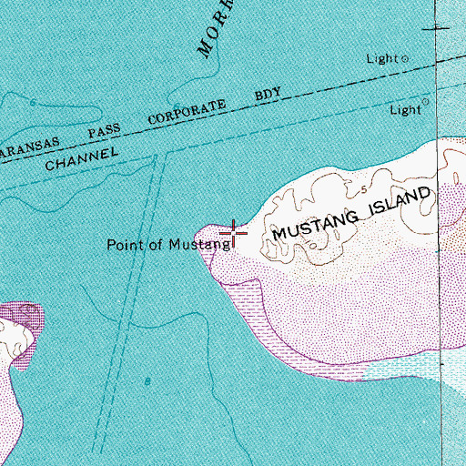 Topographic Map of Point of Mustang, TX