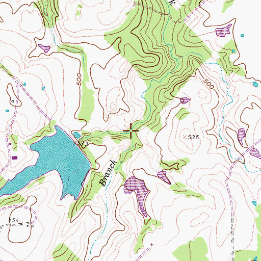 Topographic Map of Pole Branch, TX