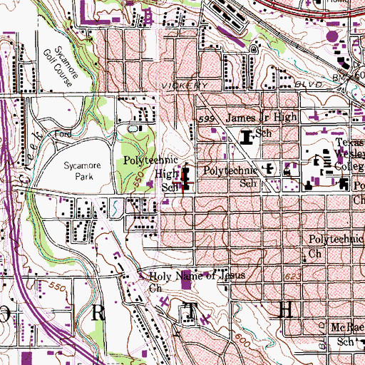 Topographic Map of Polytechnic High School, TX