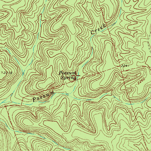 Topographic Map of Possum Spring, TX