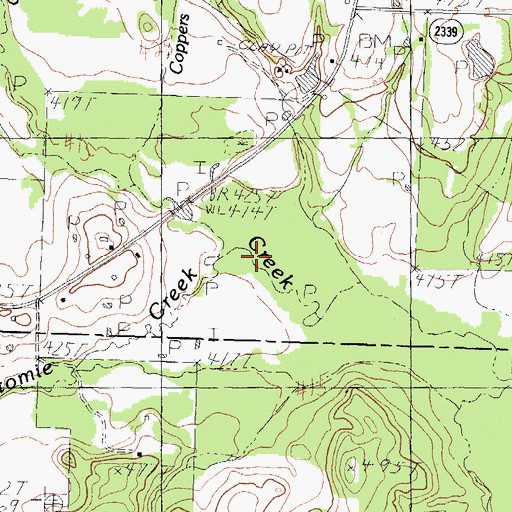 Topographic Map of Pottawatomie Creek, TX