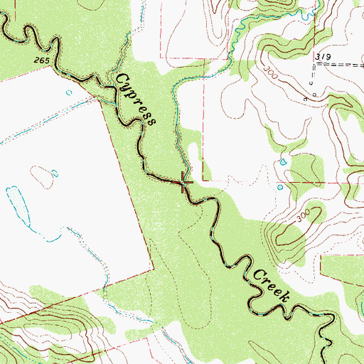 Topographic Map of Prairie Branch, TX