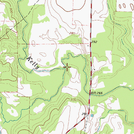 Topographic Map of Prairie Branch, TX