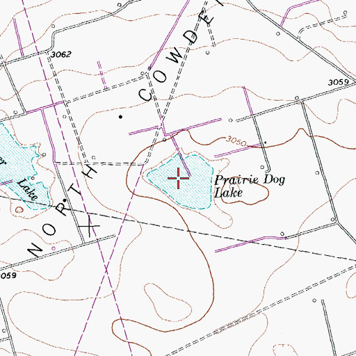 Topographic Map of Prairie Dog Lake, TX