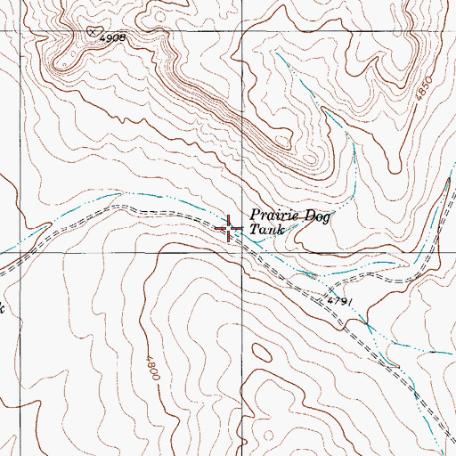 Topographic Map of Prairie Dog Tank, TX