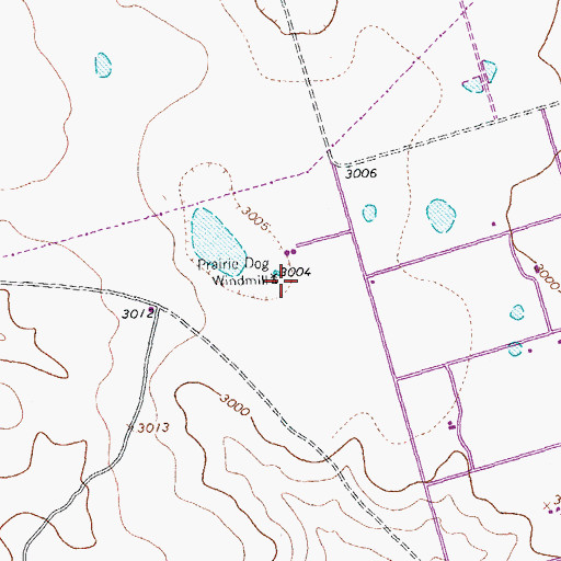 Topographic Map of Prairie Dog Windmill, TX