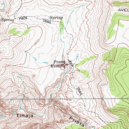 Topographic Map of Presa Rincon, TX