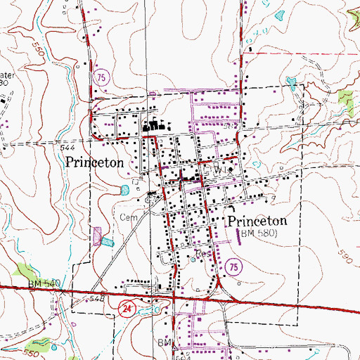 Topographic Map of Princeton, TX