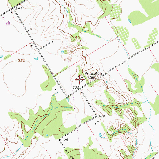 Topographic Map of Princeton Cemetery, TX