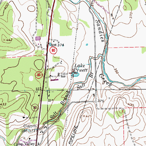 Topographic Map of Lake Pruett, TX