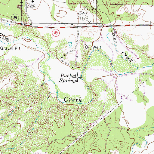 Topographic Map of Puckett Springs, TX