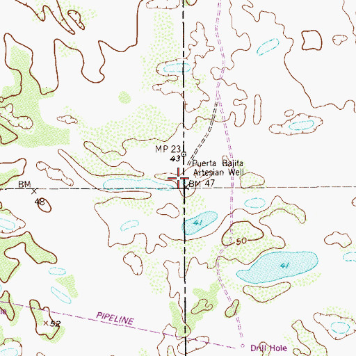 Topographic Map of Puerta Bajita Artesian Well, TX