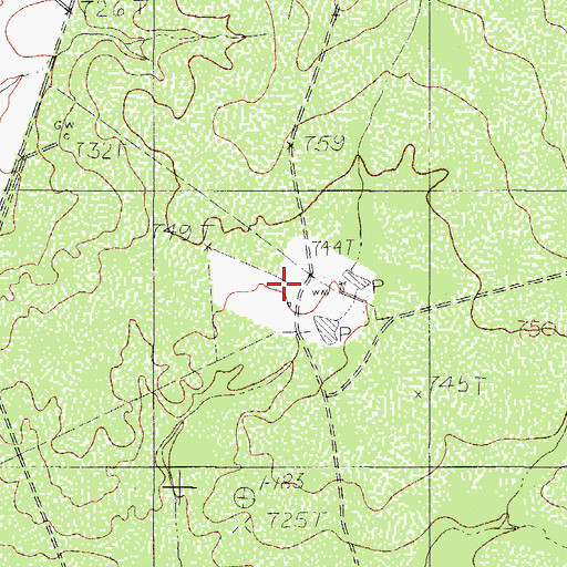 Topographic Map of Puig Ranch, TX