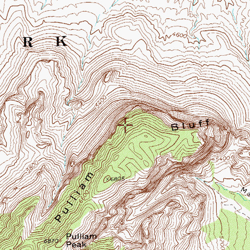 Topographic Map of Pulliam Bluff, TX
