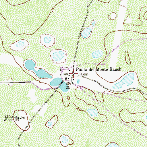 Topographic Map of Punta del Monte Ranch, TX