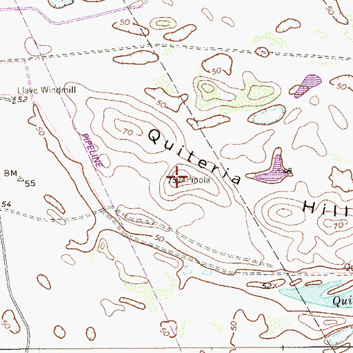 Topographic Map of Quiteria Hill, TX
