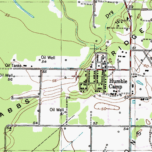 Topographic Map of Rabbs Ridge, TX
