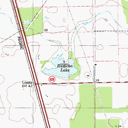 Topographic Map of Radicha Lake, TX